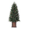 Haute Décor 4.5' Pre-lit Brookdale Fir Potted Artificial Christmas Tree with Dual Color LED Lights - 3 of 4