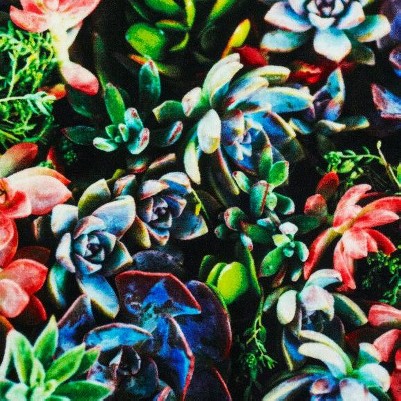 multicolor