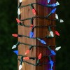 Novelty Lights C6 Coaxial 4-Pack 24 Feet 70 Red/Pure White/Blue LED Christmas String, Commercial Grade Green Wire - 3 of 4