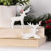 Transpac Glass White Reindeer Figurine Set of 2 Christmas Home Decorations - 2 of 2