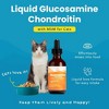 100% Natural Liquid Glucosamine Chondroitin W/ MSM for Cats, Hip & Joint Supplement for Senior Felines, Arthritis & Mobility Booster Glucosamine Drops - 2 of 4