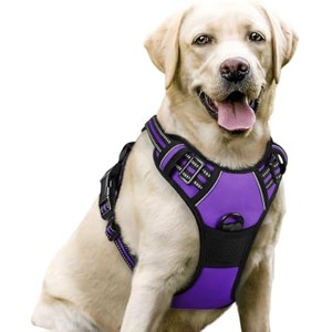 rabbitgoo Dog Harness, No-Pull Pet Harness with 2 Leash Clips, Adjustable Soft Padded Dog Vest,  for Large Dogs, Purple, L - 1 of 1