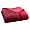 NCAA Georgia Bulldogs Digitized 60 x 80 Raschel Throw Blanket - 4 of 4