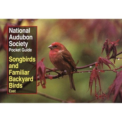 National Audubon Society Pocket Guide to Songbirds and Familiar Backyard Birds: Eastern Region - (National Audubon Society Pocket Guides) (Paperback)