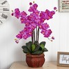 HomeStock Phalaenopsis with Decorative Vase Silk Flower Arrangement - 3 of 4