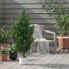 2 PCS 3 ft Artificial Cedar Topiary Trees with Vivid Leaves & Lifelike Trunk,Weather Proof Fake Cypress Shrubs Outdoor - 4 of 4