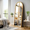Dovelina Metal Framed Arch Top with Window Pane Decorative Wall Mirror Large Mirror - 70"x23", Black - 2 of 4