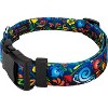 Country Brook Petz Deluxe Dog Collar - Floral Collection - 2 of 4
