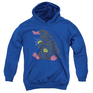 Boys’ Fantastic Beasts Niffler Hooded Sweatshirt - 1 of 4