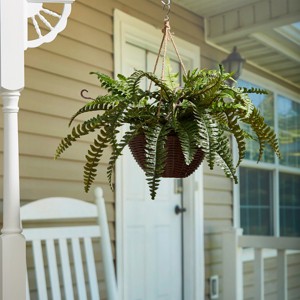 Nature Spring Artificial Boston Fern With Hanging Wicker Basket - 1 of 4