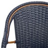 California Armchair - Indoor/Outdoor - PAT7531 - Safavieh - 3 of 4