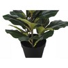 Monarch Specialties Artificial Plant 32 inch Tall Fiddle Tree Indoor Faux Fake Floor Greenery Potted Real Touch Decorative Green Leaves Black Pot - 3 of 4