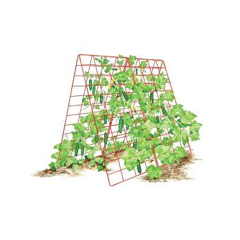 Gardeners Supply Company Deluxe Cucumber Trellis | Easy to Install Raised Garden Bed Cucumbers & Climbing Plants A-Frame Trellis | Outdoor Plant