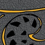 pittsburgh steelers