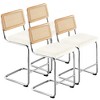 Bekrvio Bar Stools Set of 2/3/4, 26”/30" Barstool with Rattan Back, Velvet-Upholstered & Chrome Frame,Mid Century Modern Kitchen Stool for Island - 3 of 4