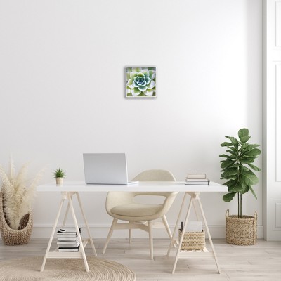 Green Succulent Close Up White Framed Canvas Print, 12" x 12"