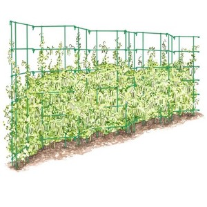 Expandable Pea Trellis, 9'-8" L x 37" H Installed Steel Trellises for Garden Plants Support - 1 of 4
