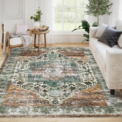 Area Rug, Rugs for Living Room, Non Slip Stain Resistant Kitchen Rug, Vintage Distressed Accent Rug