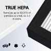 Nispira 182550 Filter Replacement Compatible with Bionaire BAP536UV-U Holmes HAP537UV / 2141139 Air Purifier, 2 Packs - 3 of 4