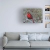 Trademark Fine Art - Marilyn Wendling  Cardinal in Snow I Canvas Art - image 2 of 4