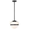 Nuvo Lighting Lakeshore 1 - Light Pendant in  Matte Black - 3 of 4