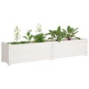 vidaXL 2-Piece Garden Raised Beds in White, Solid Pinewood Constructed, Ideal for Outdoors, Spacious Flower Boxes, Easy Assembly Required - 4 of 4