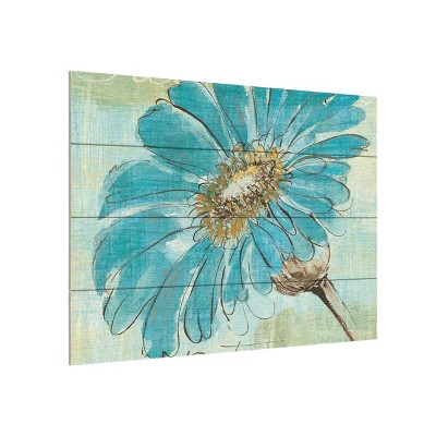 Trademark Fine Art -Chris Paschke 'Spa Daisies II' Canvas Art