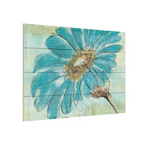 Trademark Fine Art -Chris Paschke 'Spa Daisies II' Canvas Art - 1 of 4
