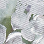 farmhouse gray