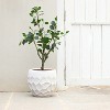 LuxenHome 14.6-Inch Round White Geometric MgO Planter - 4 of 4