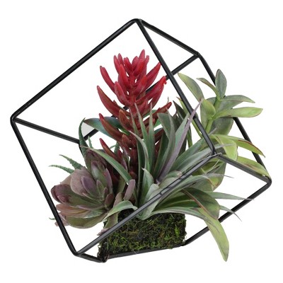 Northlight 7" Succulent Artificial Arrangement in Black Wire Terrarium - Green/Black