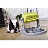 Pet Life 'Roto Paw' IQ Training Interactive Rotating Slow Dog Feeder Green - 2 of 3