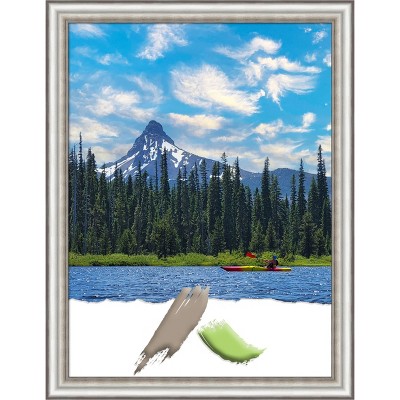Amanti Art Salon Silver Narrow Picture Frame