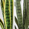 Acekool Artificial Snake Plant with Pot, Realistic Faux Sansevieria, Lush Indoor Outdoor Greenery for Home, Office, Patio, or Garden Decor - 3 of 4