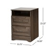 Accent Cabinet Rustic with 2 Drawers and Open Shelf for Bedroom Storage - 3irtyhousy - 4 of 4
