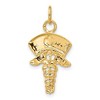 Black Bow Jewelry 14k Yellow Gold Nurses Cap and Caduceus Charm Pendant - 3 of 4