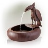 16" Iron Indoor/Outdoor Rustic Metal Toucan Water Fountain Yard Statue Brown - Alpine Corporation - 3 of 4