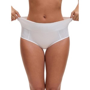 Allegra K Women's High Waist Available in Plus Size Tummy Control Briefs - 1 of 4