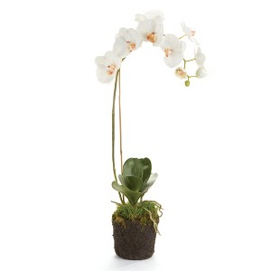 Plum & Post Phalaenopsis Orchid Faux (Fake) Drop-In 26" - 1 of 4
