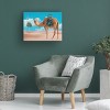 Trademark Fine Art - Salome Zhividze  Camel Canvas Art - 3 of 4