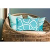Liora Manne Visions I Casual Indoor/Outdoor Pillow.. - 3 of 3