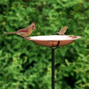 BBG Pure Copper Bird Bath on Garden Pole - Good Directions - 1 of 4