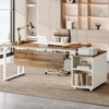 Tribesigns 74.8-Inch Executive Desk with 3 Drawers, Large Office Desk with File Cabinet, Modern Computer Desk with Storage Shelves - 2 of 4