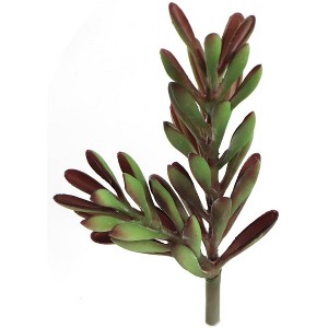 Floral Home 9.5" Echeveria Spray - 24-Piece - 1 of 2