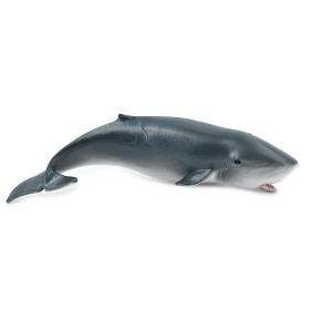Collectible Wildlife Gifts | Sperm Whale Baby, Cetacean, Marine Mammal, Museum Quality, Hand Painted, Rubber Animal, Toy , Gift,  5"  CH322 BB132 - 1 of 4