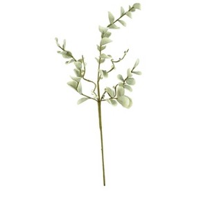 Eucalyptus-Like Leaf Stems 42"H Green EVA Foam & Wire Floral Arrangement – Bendable Spring Texture (Set of 6) By Kalalou - 1 of 3