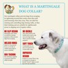 Country Brook Petz HossFit Jr Wide Martingale Dog Collar - Spring Collection - 4 of 4
