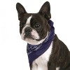 Mechaly Pack of 8 Paisley Cotton Dog Bandana Triangle Shape  - Fits Most Pets - 3 of 4