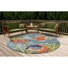 Liora Manne Ravella Coastal Indoor/Outdoor Rug.. - 4 of 4