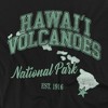 Men's Hawaii Volcanoes National Park State Line Crewneck Sweatshirt - 2 of 4